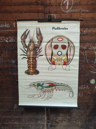 Ddr rollkarte schulkarte - ddr,