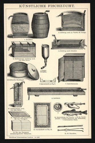 Druck anno 1898 aquakultur - anno,